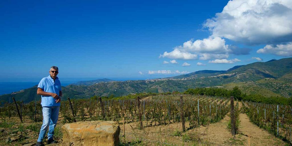 Serra di Mulino a Vento, il nuovo progetto di Mastroberardino in Cilento