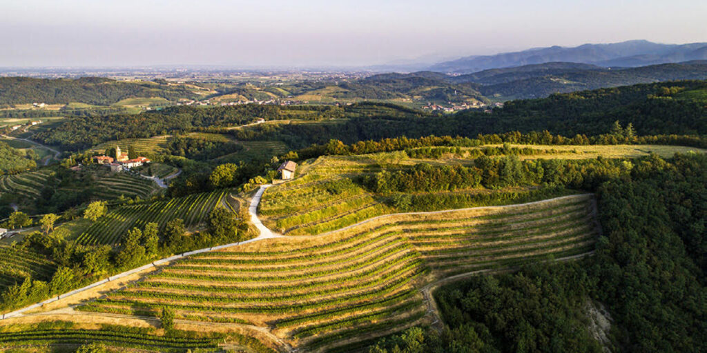 Nuove acquisizioni, dal Friuli alla Puglia, passando per Toscana e Marche