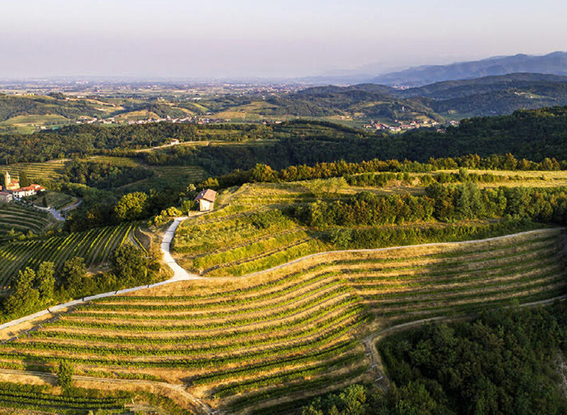 Nuove acquisizioni, dal Friuli alla Puglia, passando per Toscana e Marche