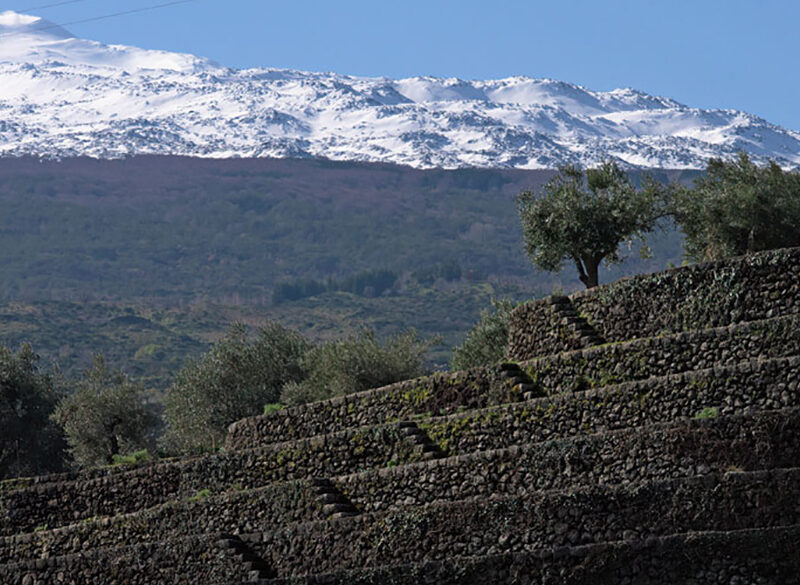Il Sud Italia visto dalla stampa estera. È un momento d’oro
