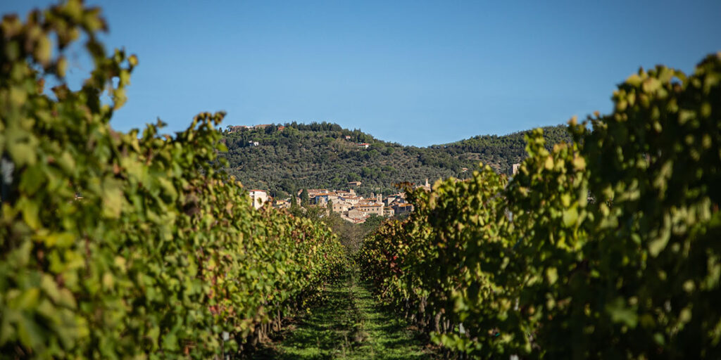 Suvereto e Val di Cornia hanno il loro Consorzio