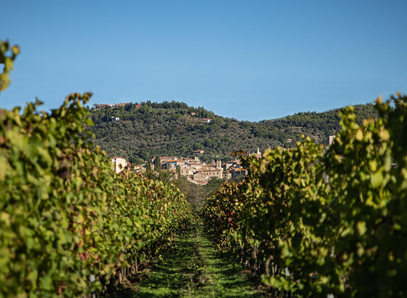 Suvereto e Val di Cornia hanno il loro Consorzio