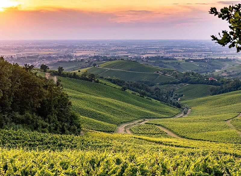 L’Oltrepò? Chiamatelo OltrePinot