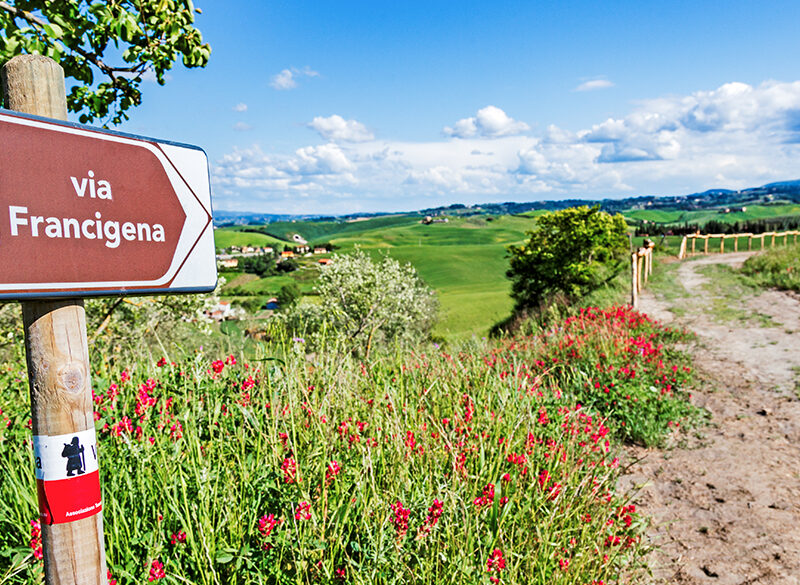 Storia e fortuna del vino lungo la Via Francigena