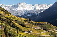 Alto Adige, il regno dei bianchi amplia i suoi confini