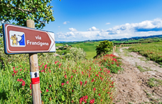 Storia e fortuna del vino lungo la Via Francigena