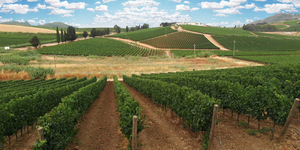Tenuta Rapitalà, eleganza francese e radici siciliane