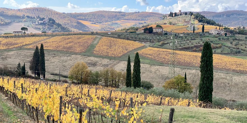 Nasce l’Associazione Viticoltori di Greve in Chianti