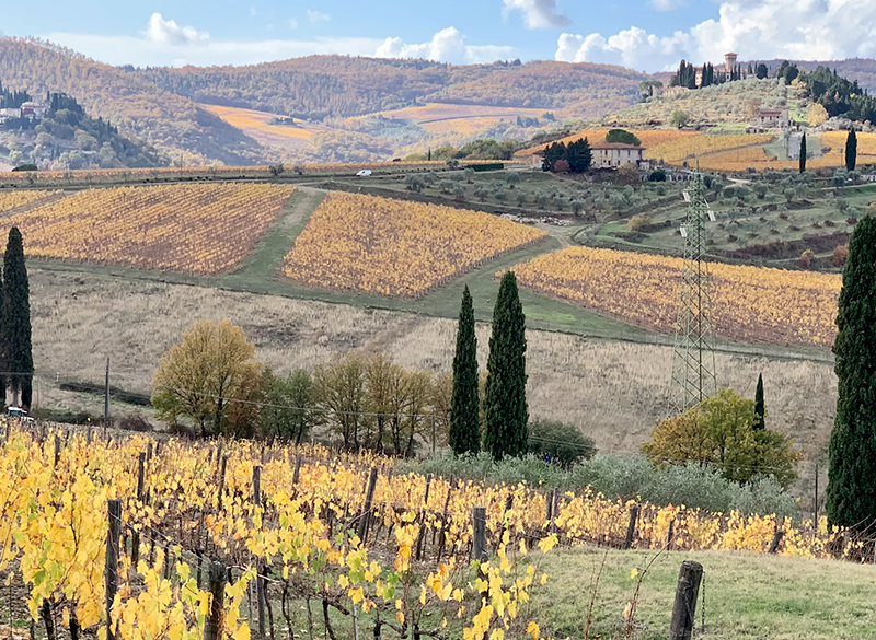 Nasce l’Associazione Viticoltori di Greve in Chianti