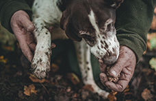 Non solo vino, il progetto dell’Alta Langa per il tartufo