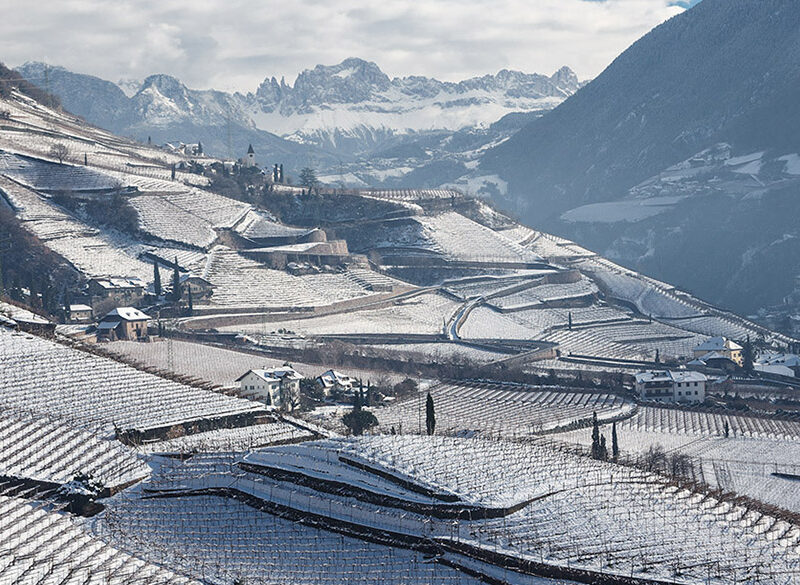 Cantina Bolzano: vini d’alta quota frutto di una vendemmia eccezionale