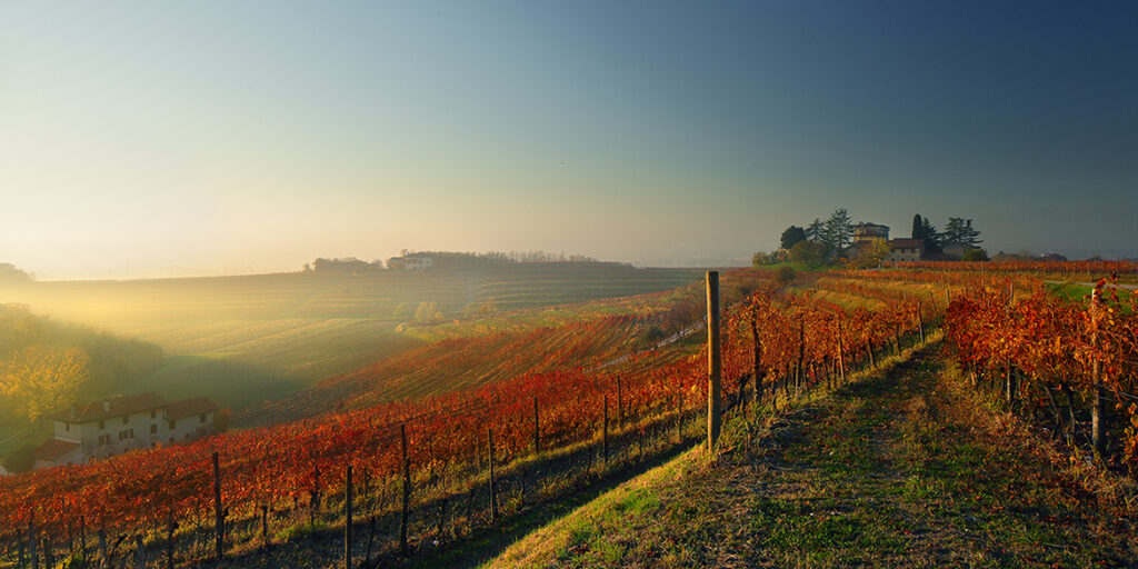Le Tenute del Leone Alato. Valori e obiettivi del nuovo polo vinicolo di Genagricola