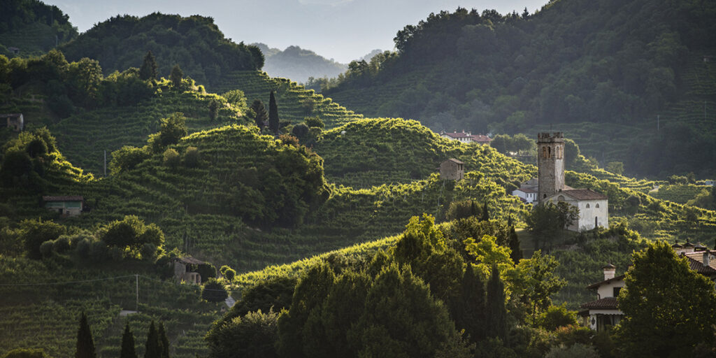 Prosecco Docg, il futuro nei numeri
