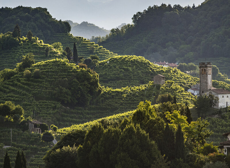 Prosecco Docg, il futuro nei numeri