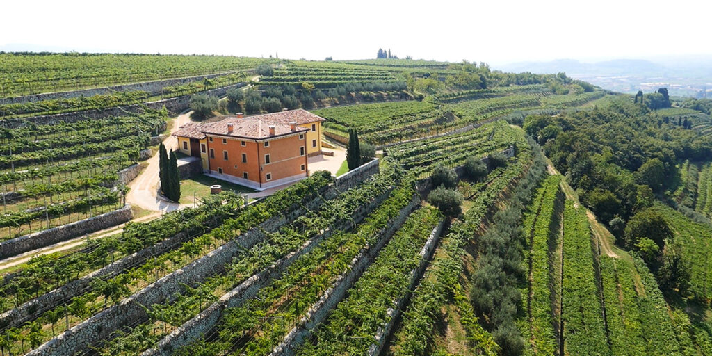 Speri, uniti per la Valpolicella Classica