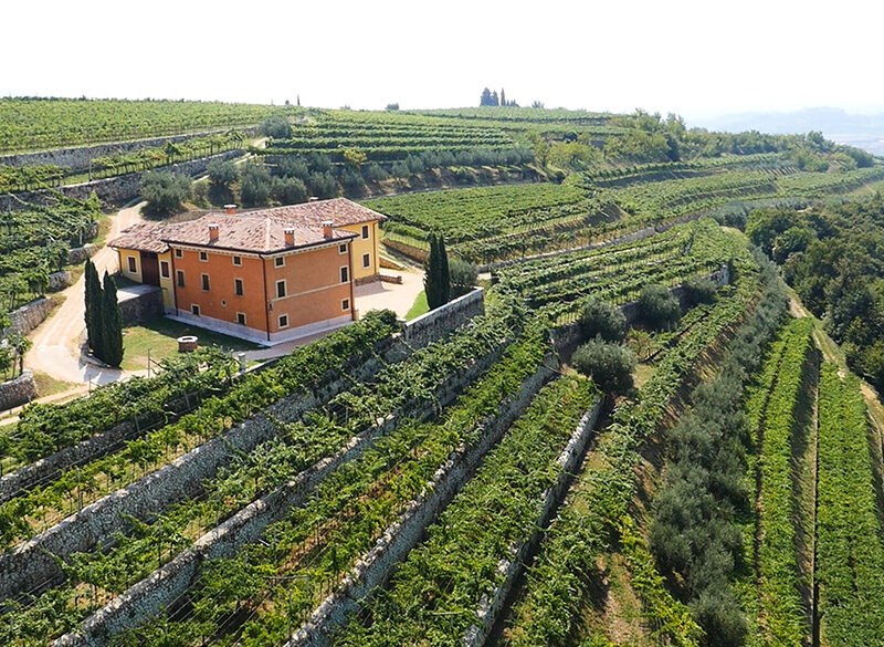 Speri, uniti per la Valpolicella Classica