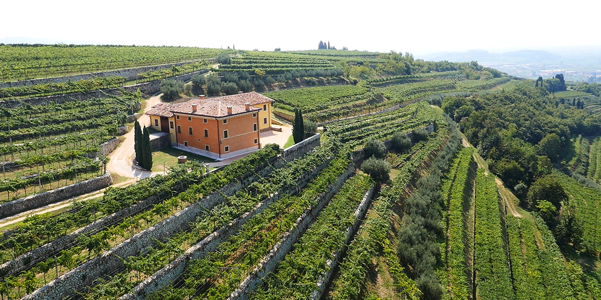 Speri, uniti per la Valpolicella Classica