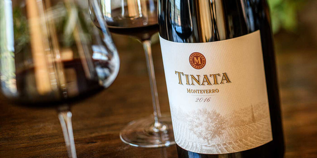 Tinata 2008-2018: la storia del second vin di Monteverro