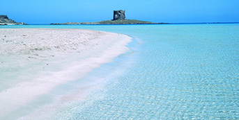 Atlante del vino 2021: la Sardegna