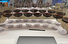 Le Macchiole Bolgheri Rosso 2004-2019. La verticale completa