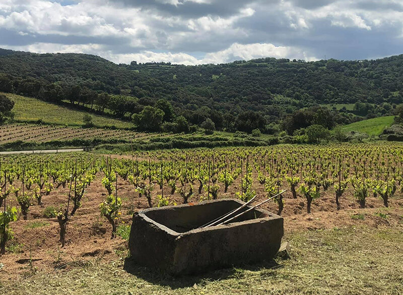 Bentu Luna: viaggio nella Sardegna più autentica