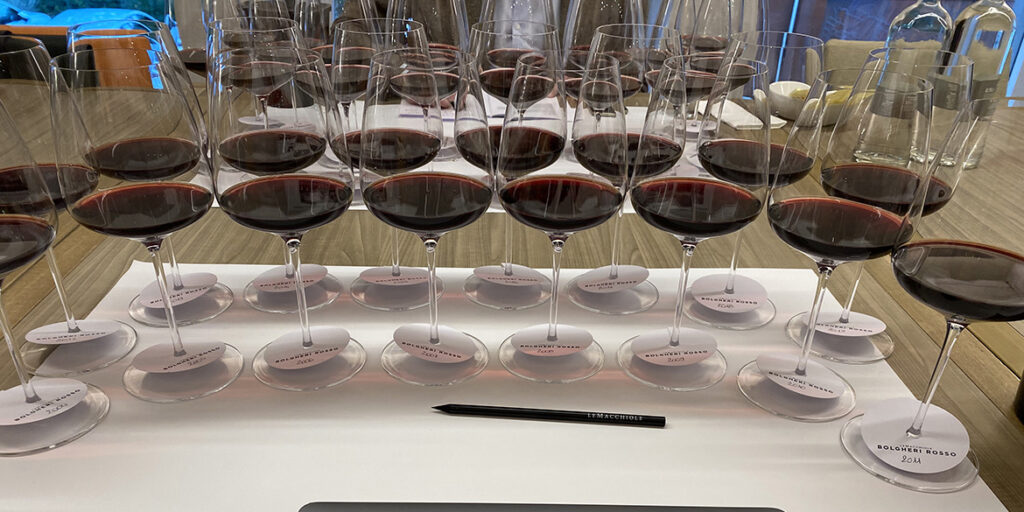 Le Macchiole Bolgheri Rosso 2004-2019. La verticale completa