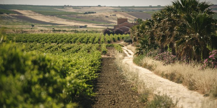 250 anni di Marsala. La storia del vino fortificato più famoso d’Italia