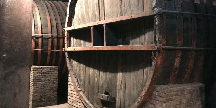 I musei del vino: il Muvis a Castiglione in Teverina