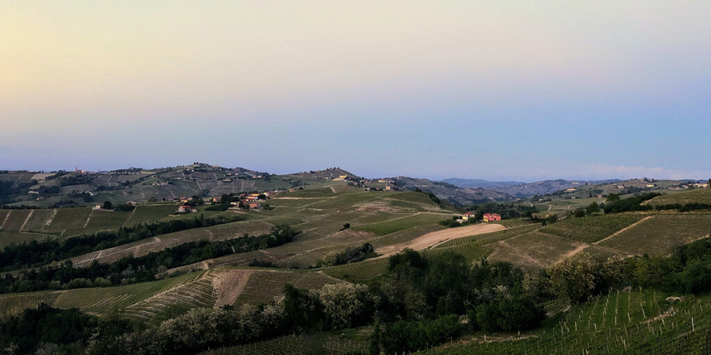 Enoturismo: quali regioni vinicole visitare nel 2022