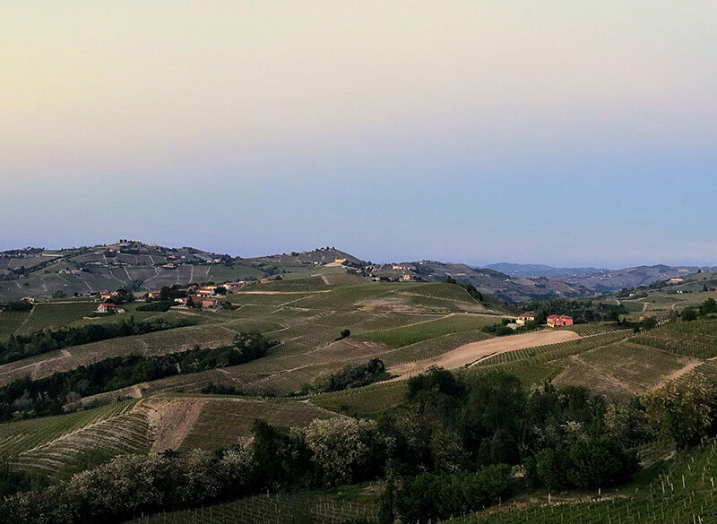 Enoturismo: quali regioni vinicole visitare nel 2022