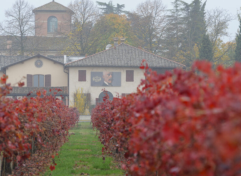 Cleto Chiarli, il Lambrusco secondo noi