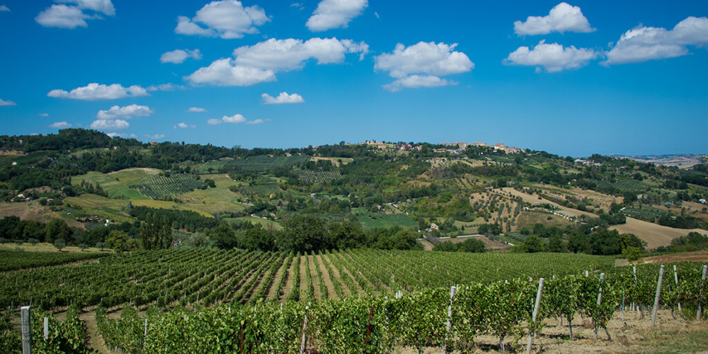 Umani Ronchi e le sue tre grandi interpretazioni del Verdicchio