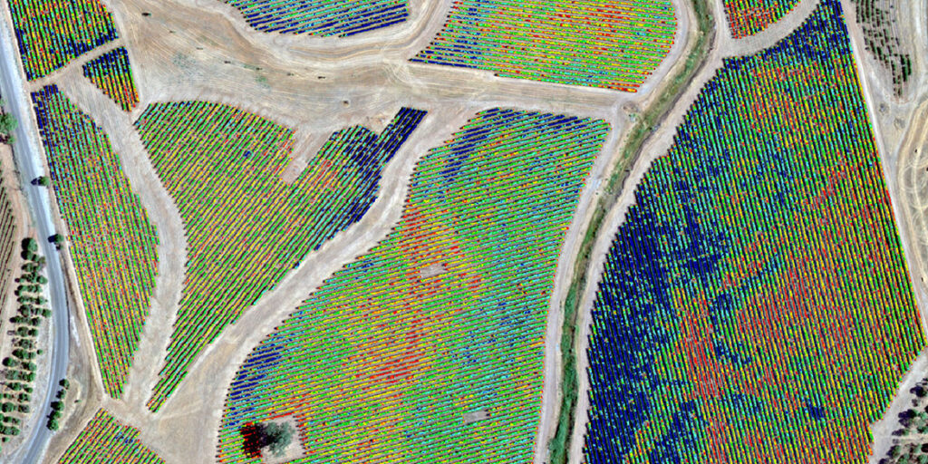 Tecnologie di imaging nel vigneto. Che cosa sono e cosa permettono di fare