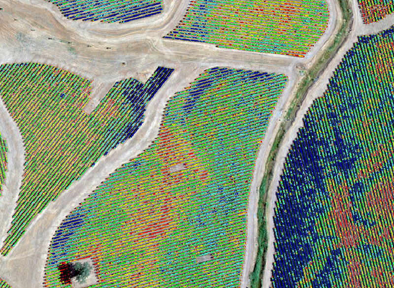Tecnologie di imaging nel vigneto. Che cosa sono e cosa permettono di fare