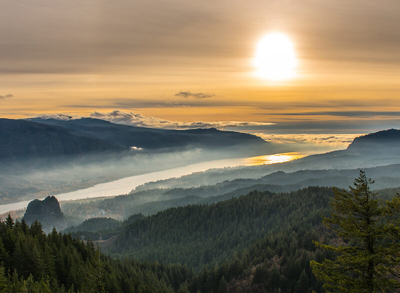 L’Oregon oltre il Pinot nero: la varietà della Columbia River Gorge