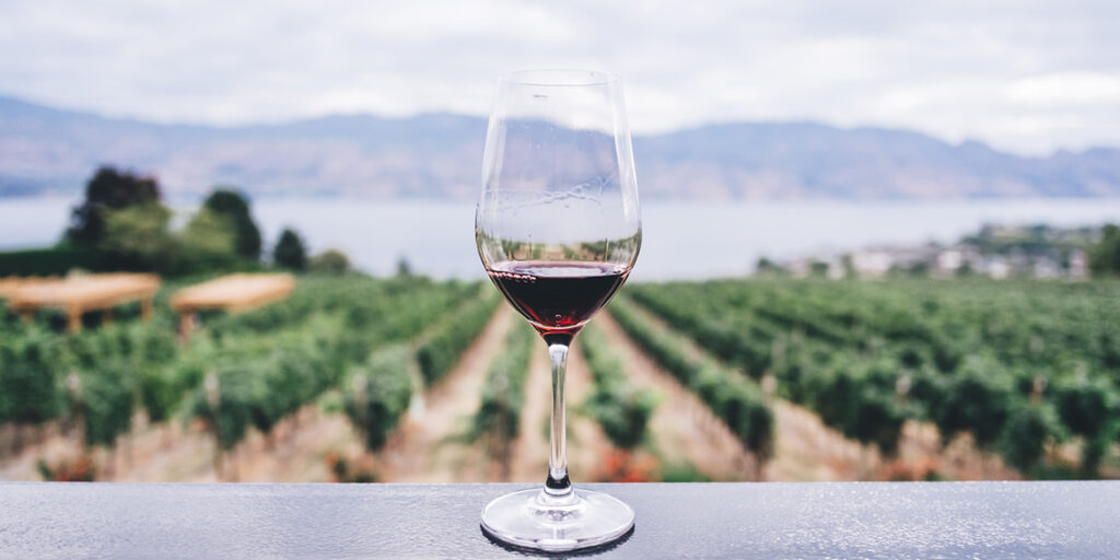 Così il Covid ha cambiato il modo di bere vino