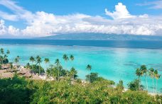 Viaggio intorno ai vigneti del mondo: prima tappa in Polinesia