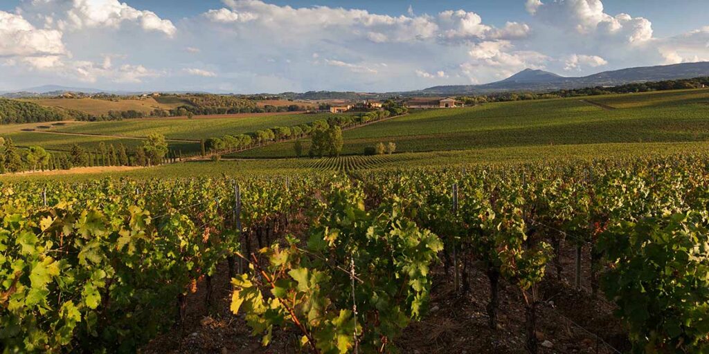 Carpineto, icona della Toscana di qualità