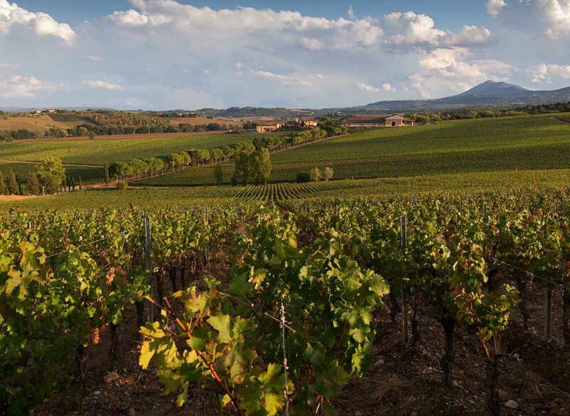 Carpineto, icona della Toscana di qualità