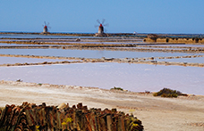 Marsala: serve un accordo per fermare il declino (e riformare il Consorzio)