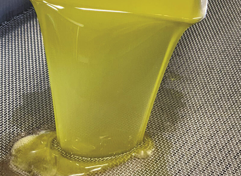 Olio 2021-22, un’annata complessa con punte di eccellenza