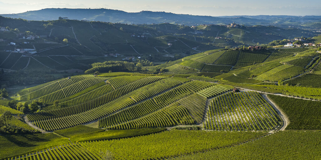 Arnaldo Rivera: viaggio attraverso i cru storici del Barolo