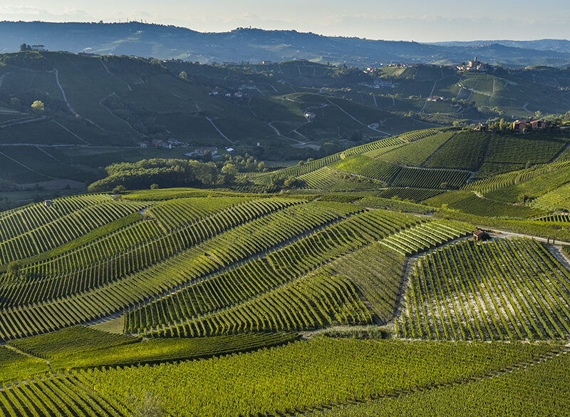 Arnaldo Rivera: viaggio attraverso i cru storici del Barolo