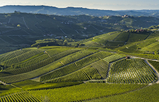 Arnaldo Rivera: viaggio attraverso i cru storici del Barolo