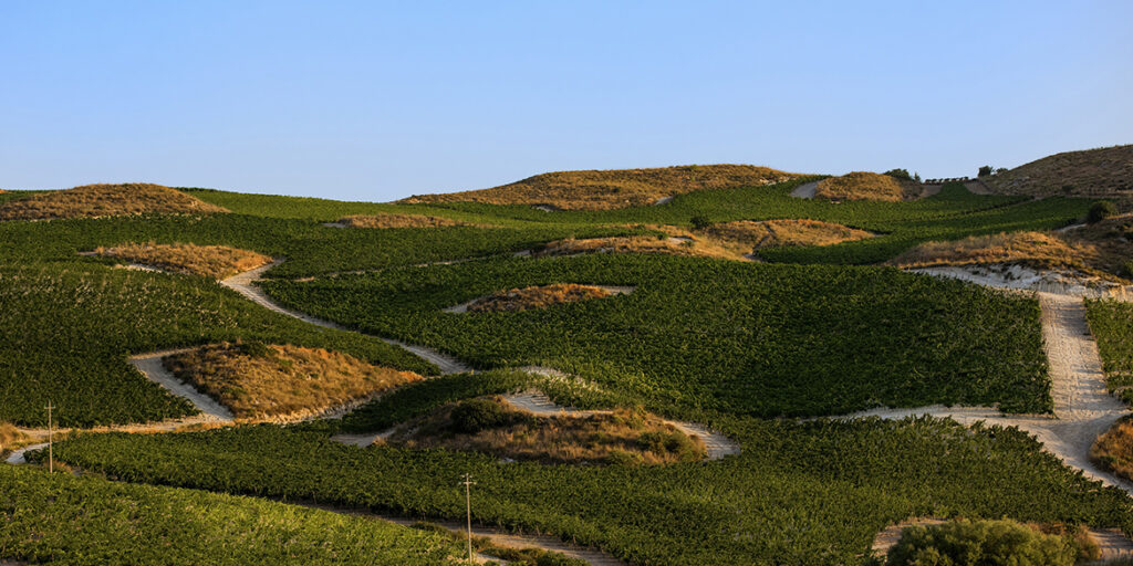 La luce secondo Cusumano. Il nuovo Syrah Fosnuri e il progetto con Vittorio Storaro