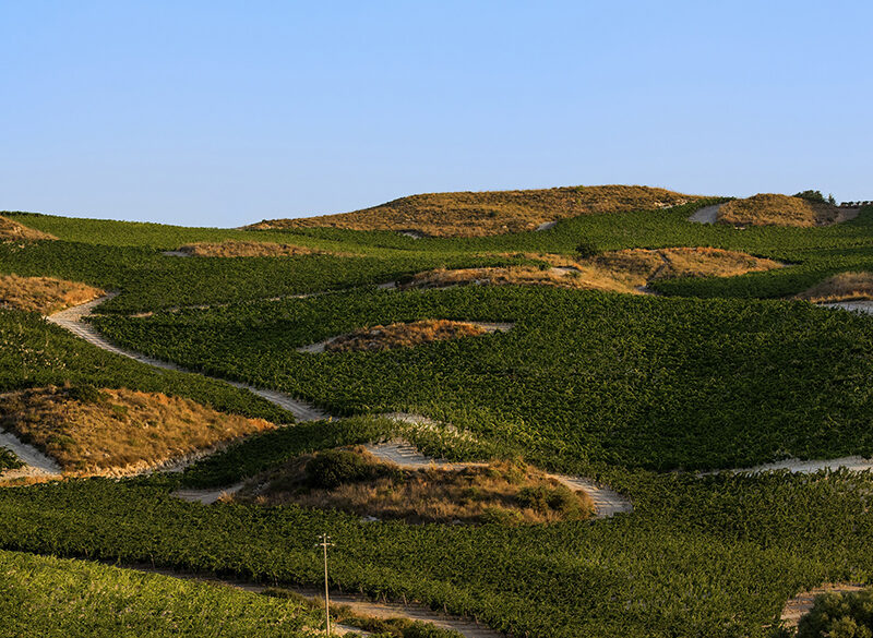 La luce secondo Cusumano. Il nuovo Syrah Fosnuri e il progetto con Vittorio Storaro