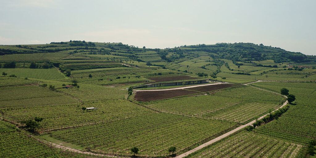 A Soave inaugurata la nuova Cantina Leonildo Pieropan