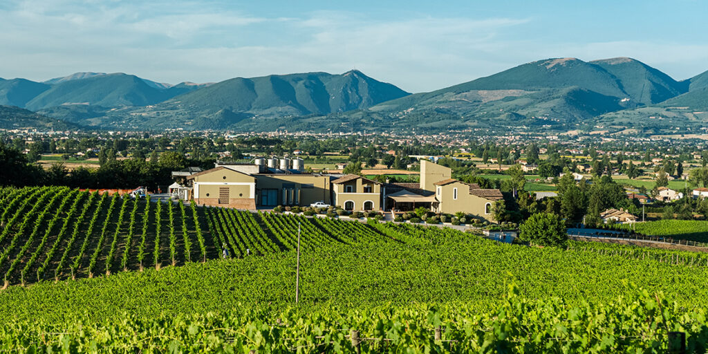 Arnaldo Caprai, Sagrantino (e non solo) con la mano di Michel Rolland
