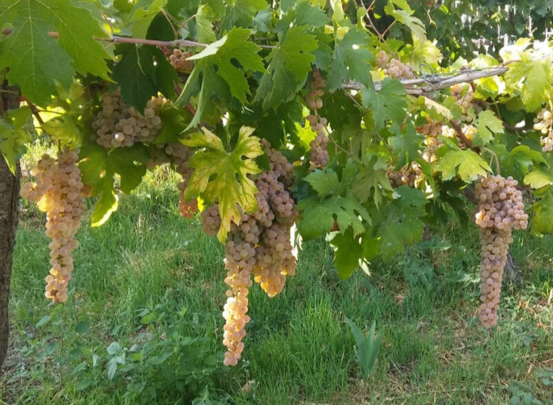L’Irpinia delle piccole ma brillanti stelle