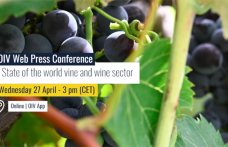 OIV: il settore del vino tra ripresa e incertezze